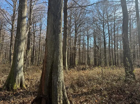 0 County Road 127, Abbeville, MS 38601