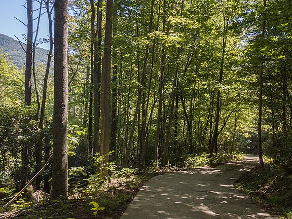 3rd image of 494 Dave Wall Rd