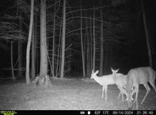 196 Butterfield Rd, Richford, NY 13835