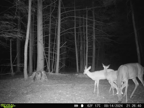 196 Butterfield Rd, Richford, NY 13835