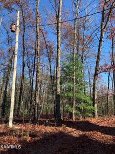 5937 Omega Dr, Tallassee, TN, 37878