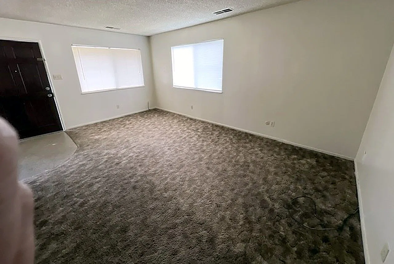 1 bed, $1,100 — Photo 2