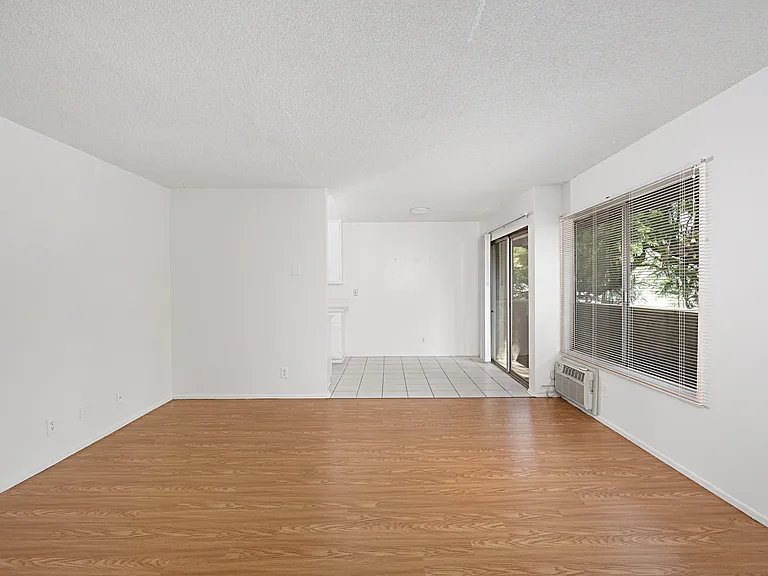 Ten Eleven Palm Avenue — Photo 24