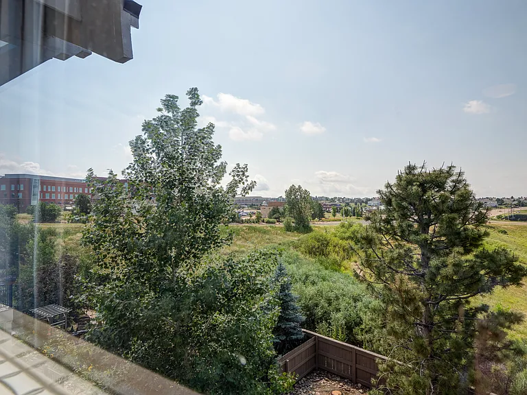 3745 Cherry Plum Dr — Photo 18