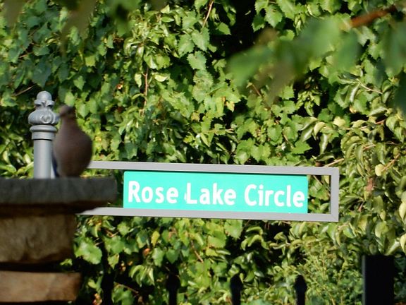 5th image of 7078 Roselake Cir