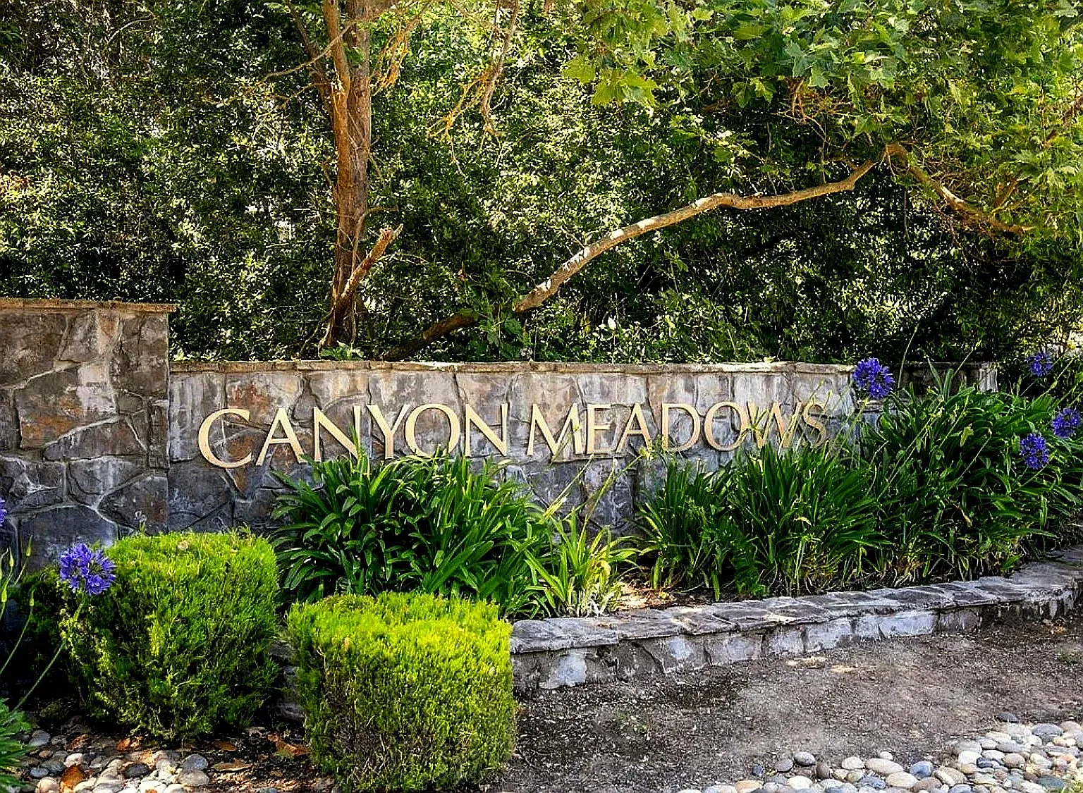 7875 Canyon Meadow Circle — Photo 1