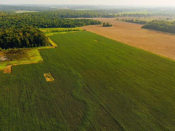 0 County Road 300, Big Creek, MS 38914