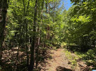 70 Spoon Rd, Piedmont, AL 36272