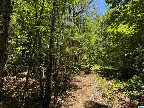 70 Spoon Rd, Piedmont, AL 36272
