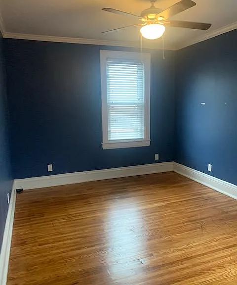 1532 Lewis St #C — Photo 7