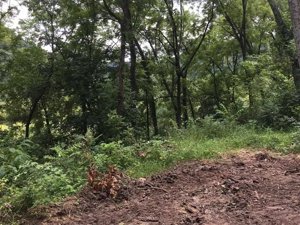 55470 State Highway 171, Ferryville, WI 54628