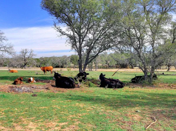 1399 Klett Ranch Road, Johnson City, TX 78636-9998