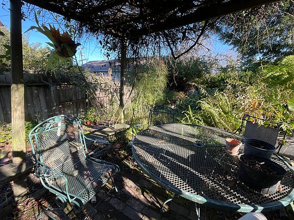back garden