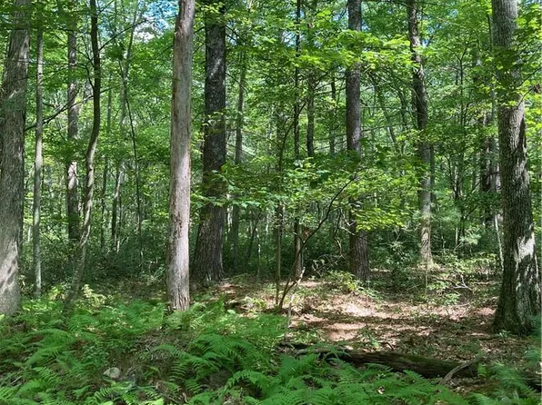 Allen Road, Wurtsboro, NY 12790