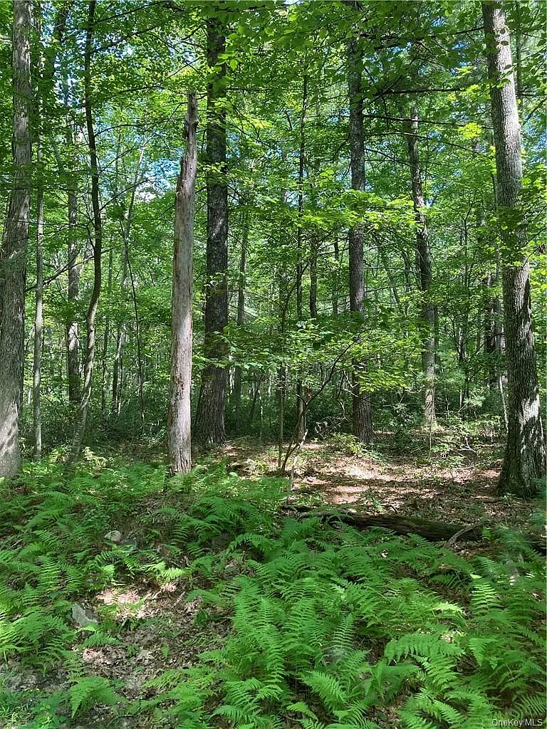Allen Road photo 1