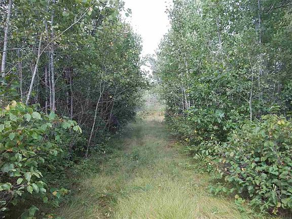 3rd image of N15442 17th Ave
