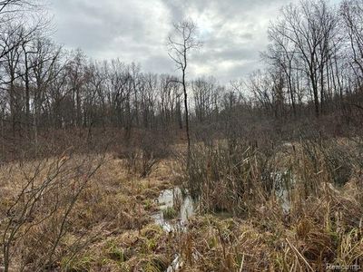 2.76 Perry Lake Rd, Ortonville, MI, 48462