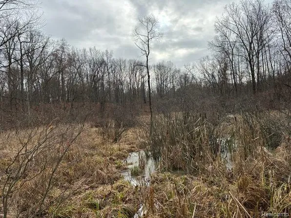 2.76 Perry Lake Rd, Ortonville, MI 48462