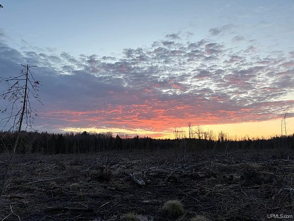 3rd image of 40 / Acres Off