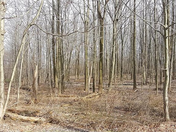 Front SW corner of the property. Standing on S. Brown Rd.