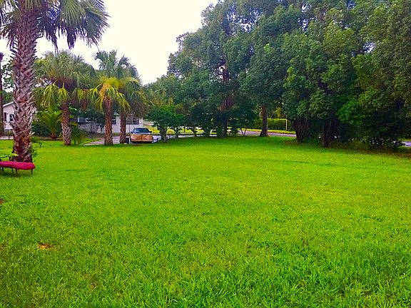 East side of house yard 