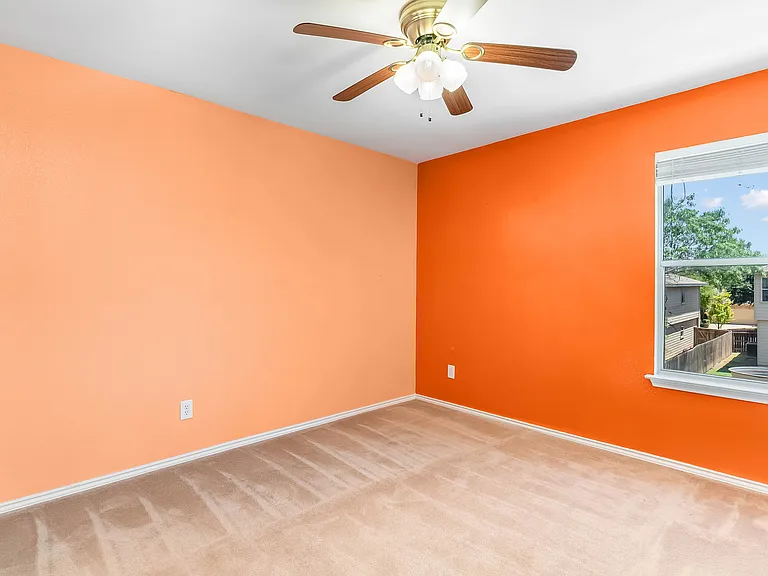 714 Celosia — Photo 13