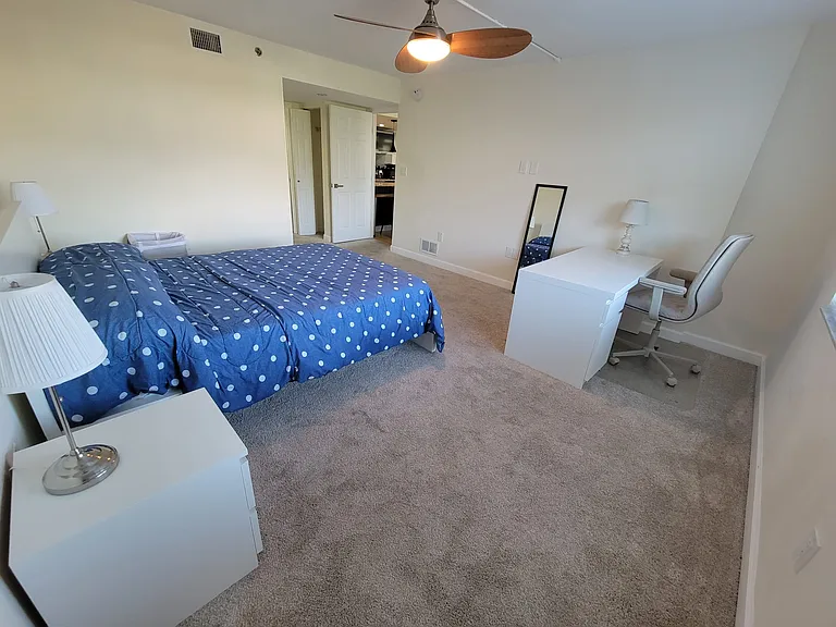 701 S Madison Ave #419 — Photo 5