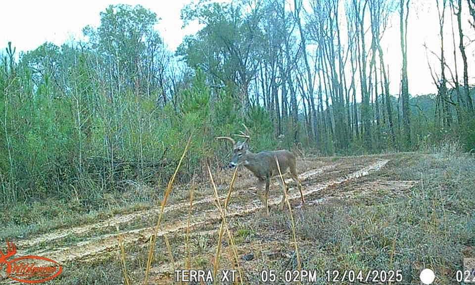 1st image of TRACT 1 Fm 114