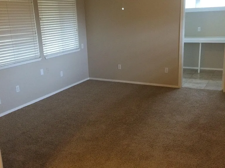 4808 Gray Fox Dr — Photo 7