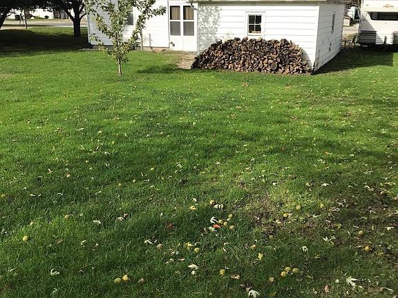 5th image of 110 Donovan Ave