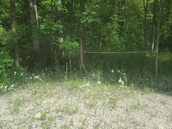 24661-28 Mile Rd, Ray, MI 48096