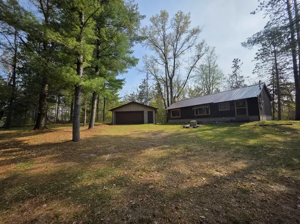 3881 Brodie Rd, South Branch, MI 48761