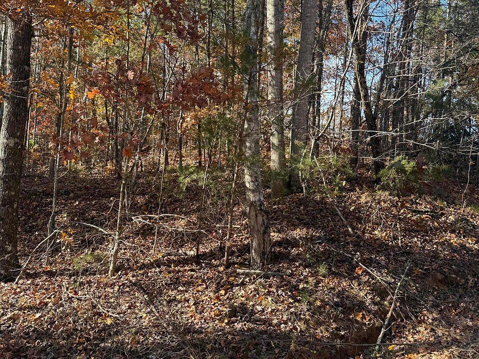 1st image of Scenic Woods Way