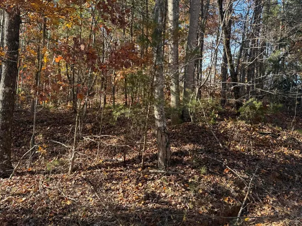 Scenic Woods Way, Sevierville, TN 37876