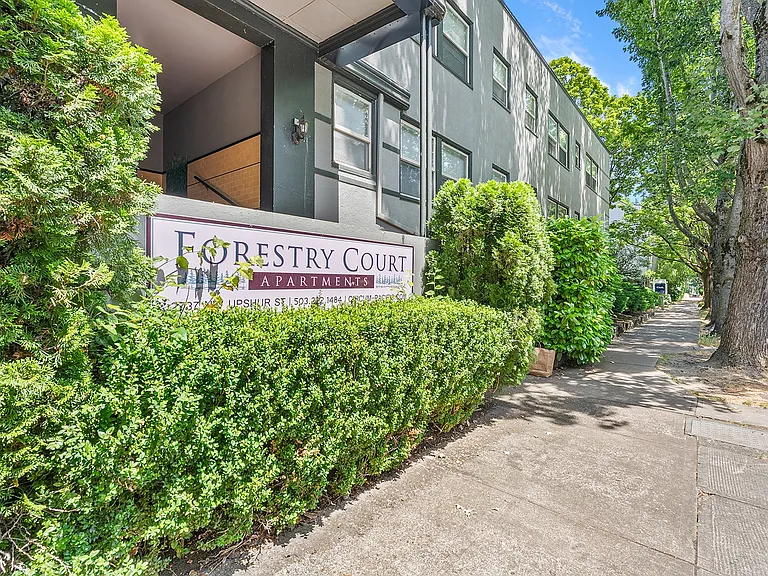 Forestry Court — Photo 1