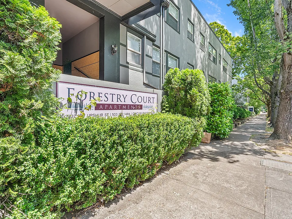 Forestry Court