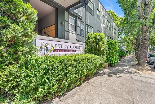 Forestry Court Photo 1