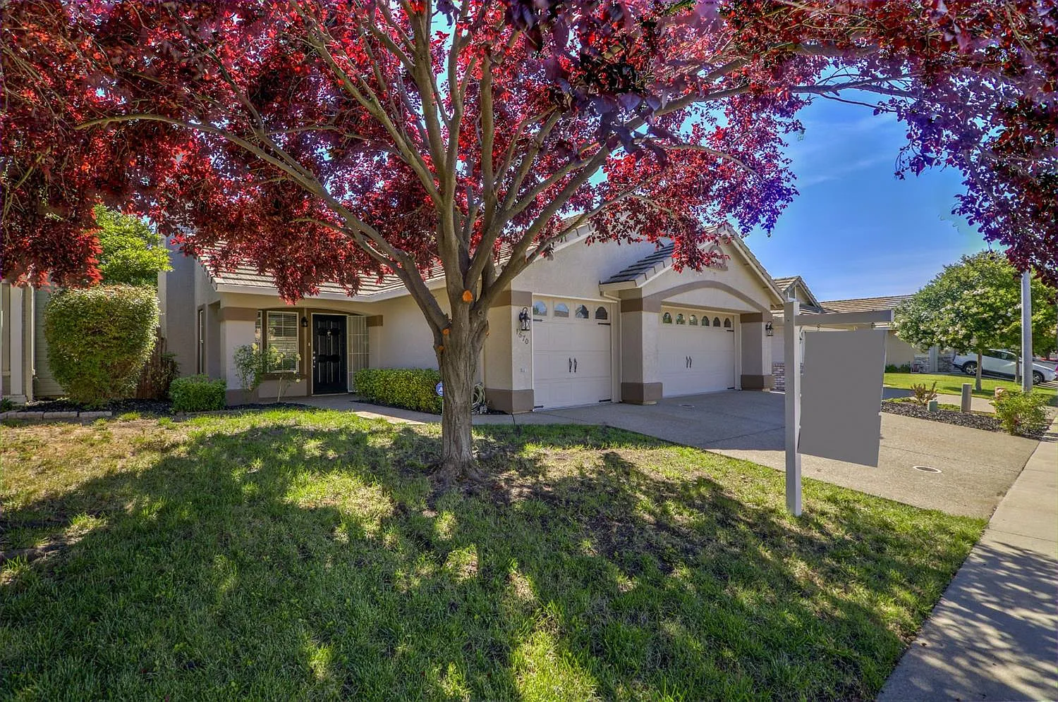 1670 El Camino Verde Dr photo 1