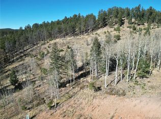 14 Blue Haven Place LOT 14, Woodland Park, CO 80863