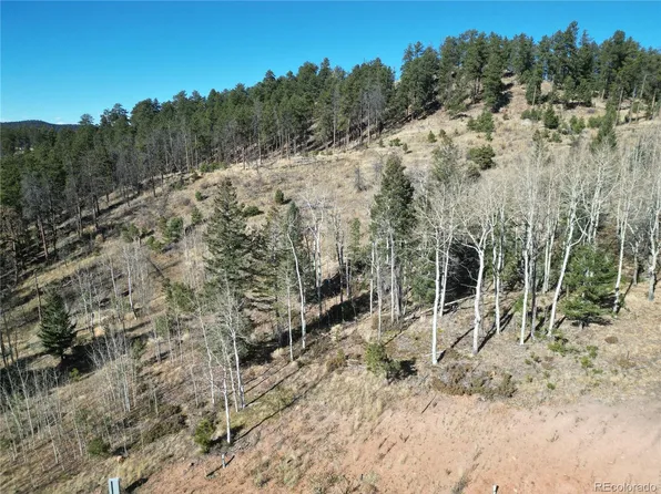 14 Blue Haven Place LOT 14, Woodland Park, CO 80863