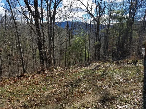 Laurel Rd, Townsend, TN 37882