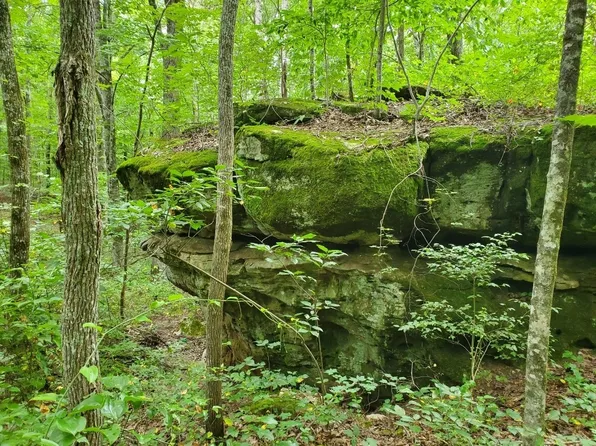 0 State Route 56, Beersheba Springs, TN 37305