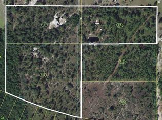 1420 Bud Rd, Davenport, FL 33896