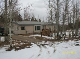 796 Singletree Rd, Hartsel, CO 80449