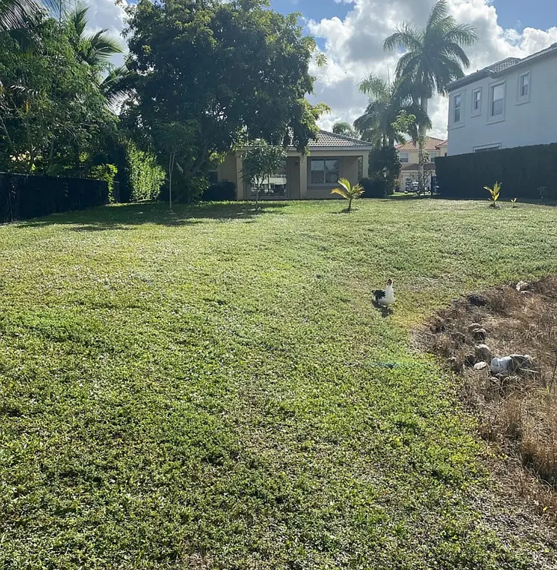 3 bed, 2300 sqft, $2,900 — Photo 4