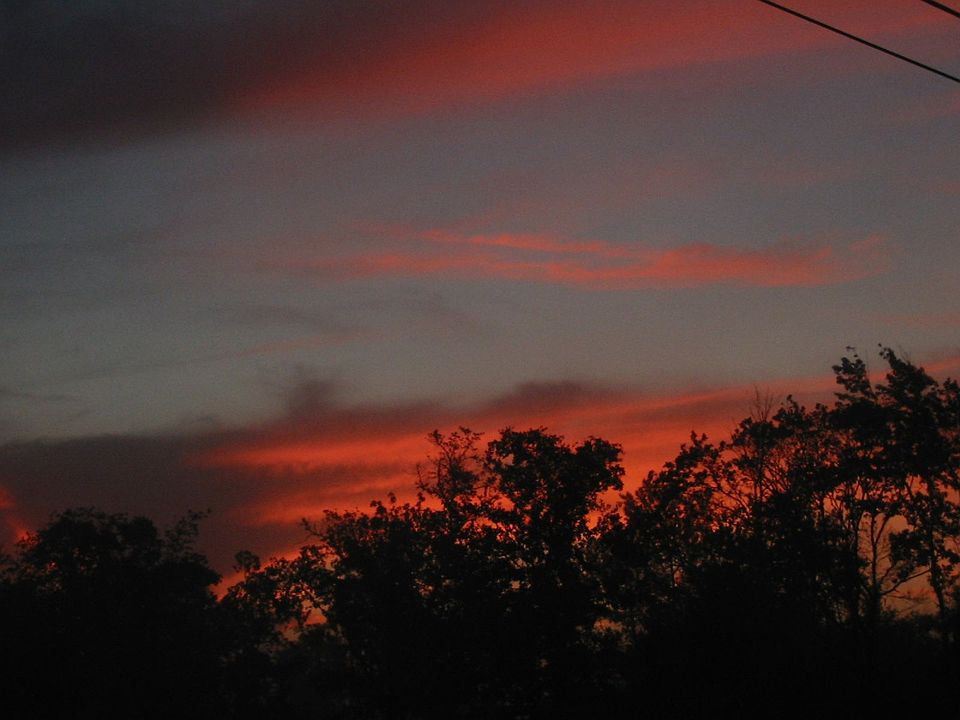 Sunrise view from backyard