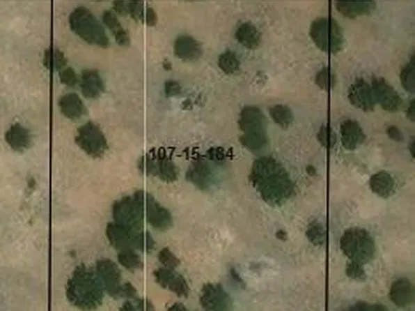 82 County Road 184, Concho, AZ 85924