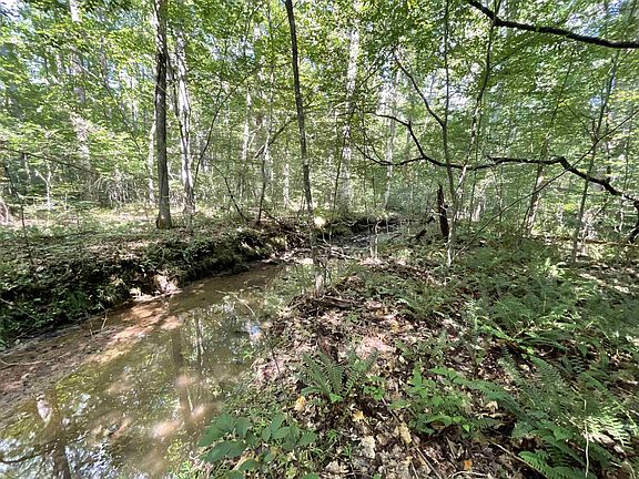 2nd image of LOT 8 Preservation Forest Ln Lot 8