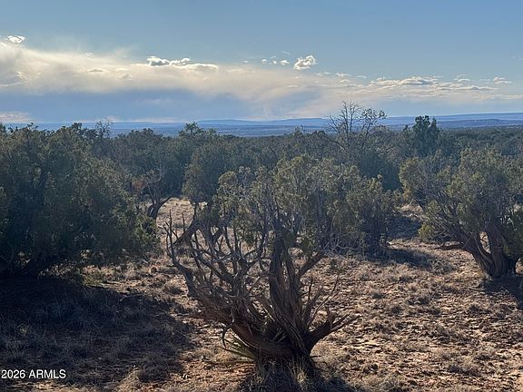 5th image of Lot 93 Red Sky Ranch -- #93