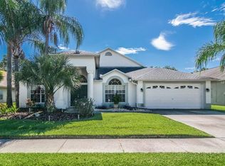 10009 Cypress Shadow Ave, Tampa, FL 33647